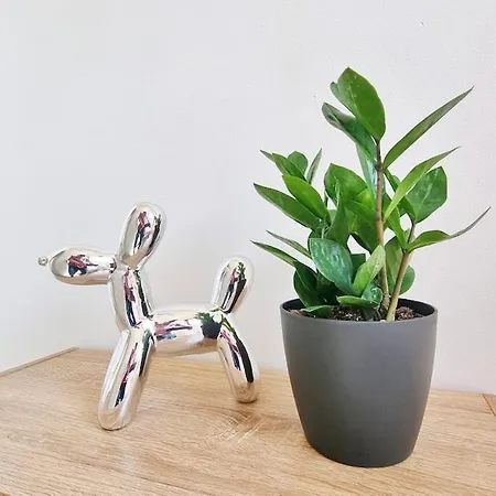 Les Aubepines - Calme - Parking *