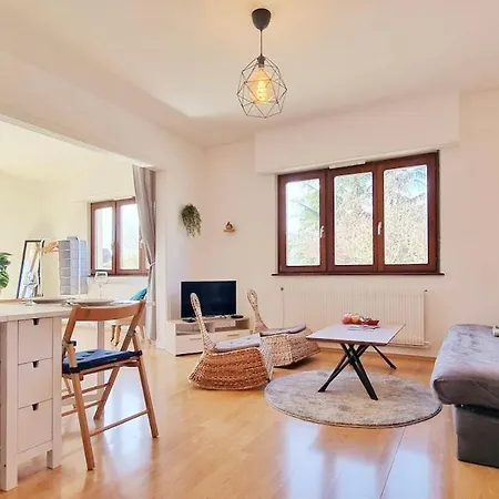 Les Aubepines - Calme - Parking Colmar